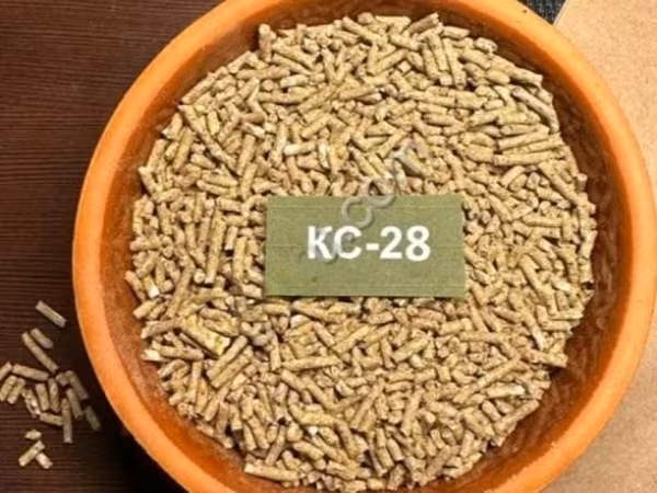 КС-28 Индейка Старт