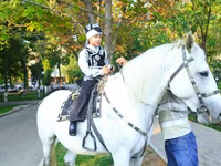 Caballo, Caballos — foto 3