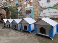 Salam yuvalar pişik ve balaca itlər üçün təzədi balacadan böyüyə — الصورة 3