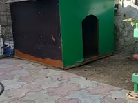 Böyük ölçülü it evi - Material: möhkəm taxta karkas, üstü — 4-rasm