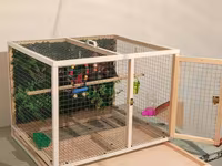 Papuqay,dovşan,hamster,şinşila,bildirçin,cücə,xamyak,pişik,quş,tısbağa — الصورة 2