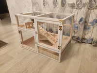 Dovşan,hamster,dağ — Foto 3
