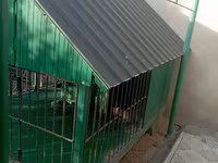 1 ildir alınıb 6 ay istifadə olunub it artıq olmadığı üçün satılır 650 — фото 4