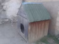 Taxta it evi REAL ALICIYA ENDİRİM OLACAQ 1METR ENİ 1METR UZUNLUĞU — Foto 1