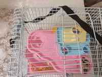 Siçan/hamster ile 2 mərtəbəli!qəfəs dəsti 'qızdı yemək və qumu ile — फ़ोटो 4