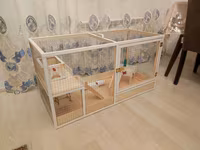 Dovşan,hamster,şinşila,bildirçin,cücə,xamyak,pişik,quş ve s kimi ev — 2-сурет