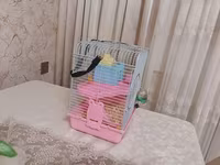 Siçan/hamster ile 2 mərtəbəli!qəfəs dəsti 'qızdı yemək və qumu ile — फ़ोटो 3