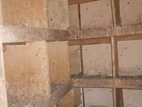 Salam real alıcılar narahat etsin vatsap 7/24 real alıcıya endirim — Foto 5
