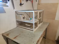 Papuqay,dovşan,hamster,şinşila,bildirçin,cücə,xamyak,pişik,quş,tısbağa — 2-сурет