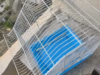 Quş qəfəsi – metal karkaslı, mavi plastik altlıqla - Material: möhkəm — Foto 2