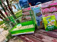 Etrafli vp 051 494 09 86 Qefeslerin her biri satişda var qefes bitende — الصورة 3