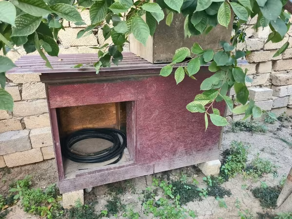 Taxta it evi / dam - Material: OSB tipli taxta panellər, möhkəm
