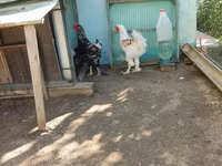 براهما — الصورة 4
