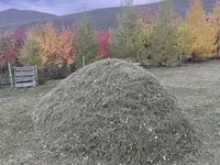 Уургийн агууламж өндөр малын тэжээл — foto 1