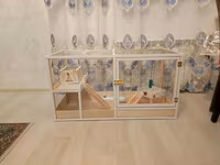 Dovşan,hamster,şinşila,bildirçin,cücə,xamyak,pişik,quş ve s kimi ev — 1-сурет