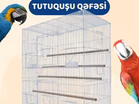 Tutuquşu qəfəsi (valyer) — 照片 1