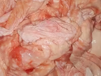 Кожа и жир индейки — 2-rasm