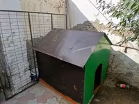 Böyük ölçülü it evi - Material: möhkəm taxta karkas, üstü — 2-rasm