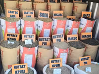 Vind sorgo. mei. raps — الصورة 4
