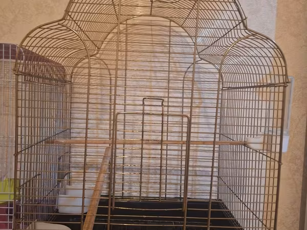 Böyük ölçülü quş qəfəsi - Material: metal karkas, qızılı rəngdə