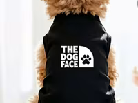 İtlər üçün yay köynəyi (The Dog Face) – (3.6 – 5.9 kq) İtlər üçün — الصورة 1