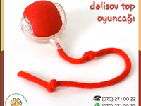 Ağıllı top oyunçağı (pişik və it üçün) Ev heyvanınızı darıxmağa — 1-rasm