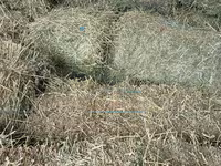 Луцерна — Foto 2