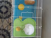 Hamster üçün tam dəst qəfəs uzunluqu 55 sm hündürlük 45 sm eni 30 sm — الصورة 5