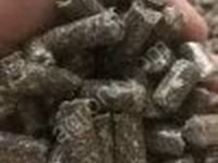 Жом свекловичный гранулированный — 照片 2