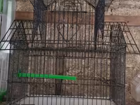 Watsap yigin qiymetler 25-70 Quş qəfəsləri – müxtəlif modellər - — foto 2