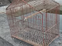 Məhsul: Metraldan quş qəfəsi - Material: möhkəm metal barmaqlıqlar — الصورة 1