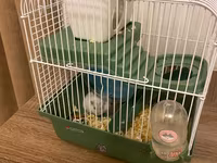 Cırtdan hamster və tam dəst qəfəs Məhsul təsviri: - Növ: cırtdan — фото 3