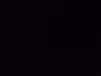 بقرة, الماشية — الصورة 2