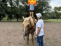 At, Quarter Horse — foto 7