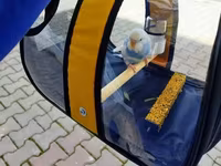 Quş daşıma çantası əldə başqa modellərdə var . həm quslar həmdə — Foto 1