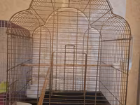 Qızılı rəngli böyük quş qəfəsi - Material: metal tor (qızılı rəng) — foto 2