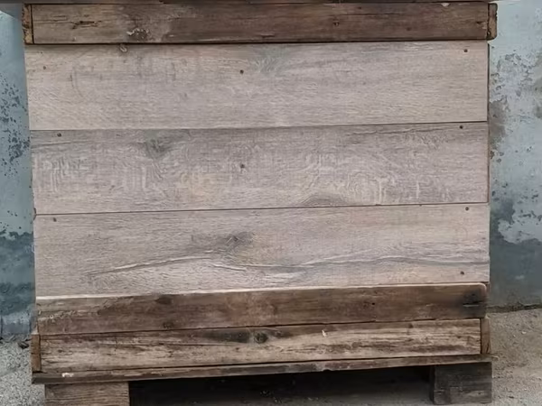 Ela veziyyetdedir möhkemdir quşlari tergitmişem diye satiram isteyen