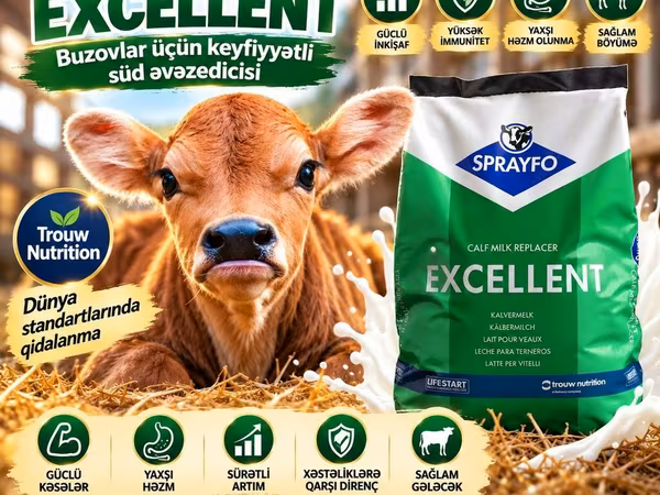 SPRAYFO Exellent – Buzovlar üçün quru süd / süd / süd qurusu / buzov