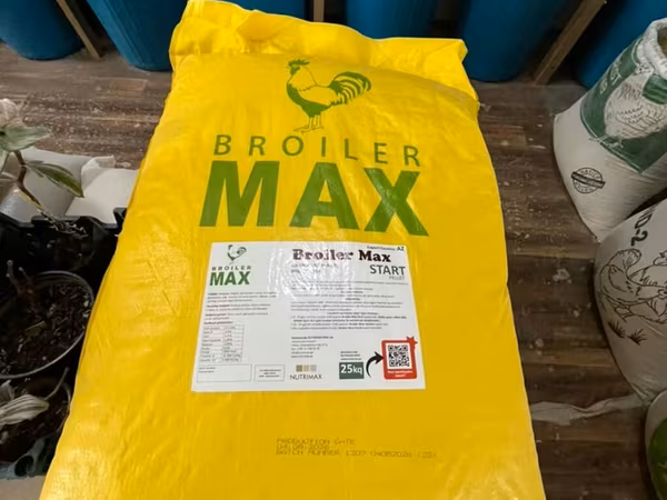 🐥 BROILER MAX START – Broyler cücələri üçün yem ✅ Keyfiyyətli qranul