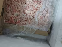 Hər kəsə salam satişda itler űçűn yemlər var farş 0.30 qəpik. bud — 照片 1