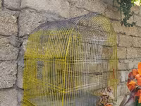 Qefesler yumru qirmizi 30 Azn obirler 20-15 Azn — 5-сурет