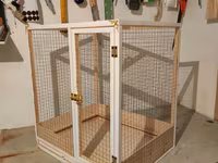 Papuqay,dovşan,hamster,şinşila,bildirçin,cücə,xamyak,pişik,quş,tısbağa — 4-сурет