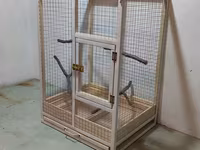 Papuqay,dovşan,hamster,şinşila,bildirçin,cücə,xamyak,pişik,quş,tısbağa — फ़ोटो 1