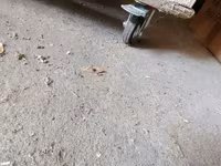 Quşxana içinin 16 xanasıda var təkərlidi hara isdəsən apara — 2-сурет