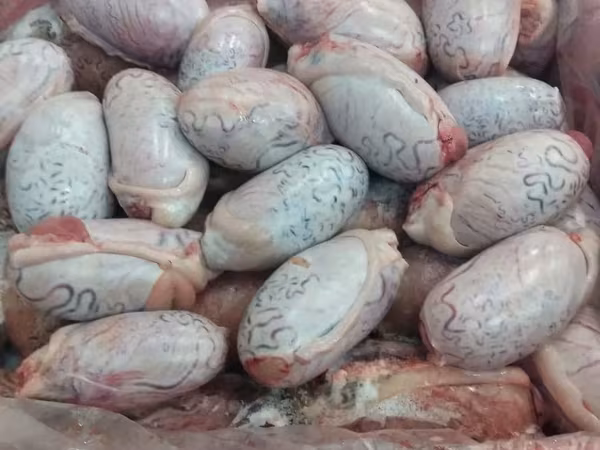 Семенники говяжьи