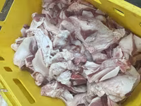 Шпик хребтовой и боковой от производства — photo 4