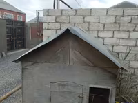 Taxta toyuq/heyvan daxması - Material: qalın faner taxta karkas — photo 4