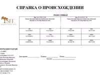 Баран, Восточно-фризская молочная овца — фото 4