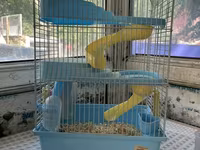 Hamster və balaca gəmiricilər üçün qəfəs - Rəng: açıq mavi plastik — фото 2