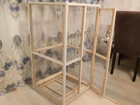 Papuqay,dovşan,hamster,şinşila,bildirçin,cücə,xamyak,pişik,quş,tısbağa — 3-rasm